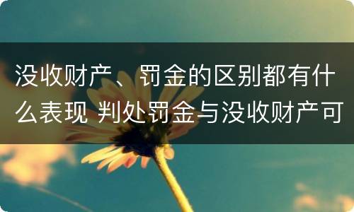 没收财产、罚金的区别都有什么表现 判处罚金与没收财产可以并罚吗