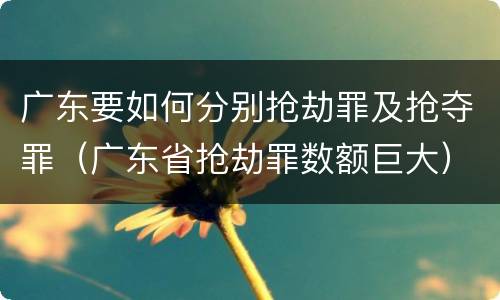 广东要如何分别抢劫罪及抢夺罪（广东省抢劫罪数额巨大）