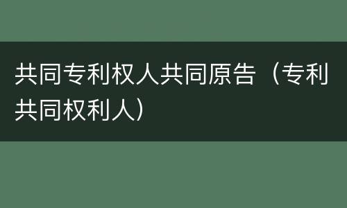 共同专利权人共同原告（专利共同权利人）