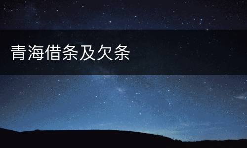 青海借条及欠条