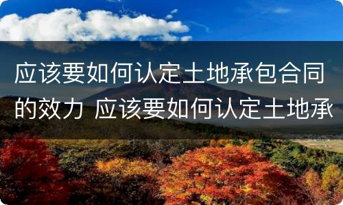 应该要如何认定土地承包合同的效力 应该要如何认定土地承包合同的效力问题