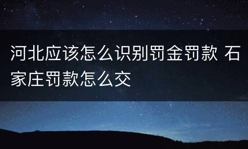 河北应该怎么识别罚金罚款 石家庄罚款怎么交