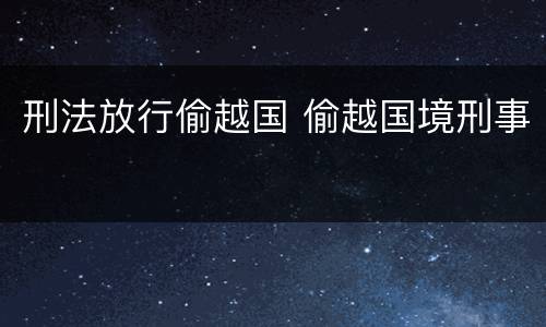 刑法放行偷越国 偷越国境刑事
