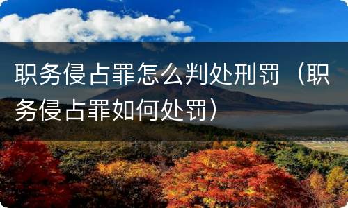 职务侵占罪怎么判处刑罚（职务侵占罪如何处罚）
