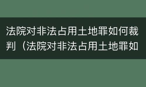 法院对非法占用土地罪如何裁判（法院对非法占用土地罪如何裁判呢）