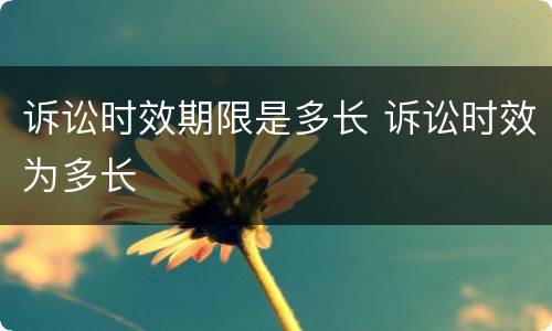 诉讼时效期限是多长 诉讼时效为多长