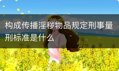 构成传播淫秽物品规定刑事量刑标准是什么