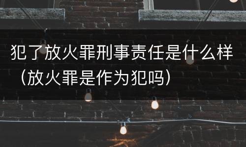 犯了放火罪刑事责任是什么样（放火罪是作为犯吗）