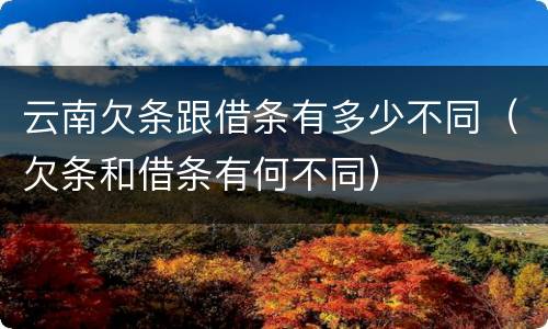 云南欠条跟借条有多少不同（欠条和借条有何不同）