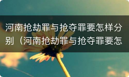 河南抢劫罪与抢夺罪要怎样分别（河南抢劫罪与抢夺罪要怎样分别处罚）