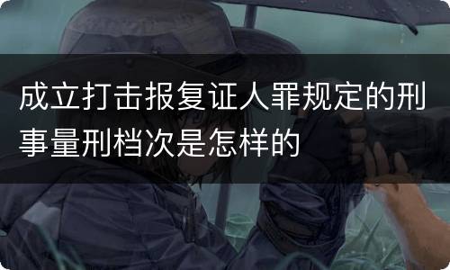 成立打击报复证人罪规定的刑事量刑档次是怎样的