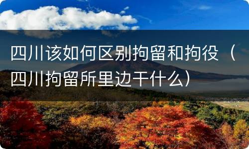 四川该如何区别拘留和拘役（四川拘留所里边干什么）