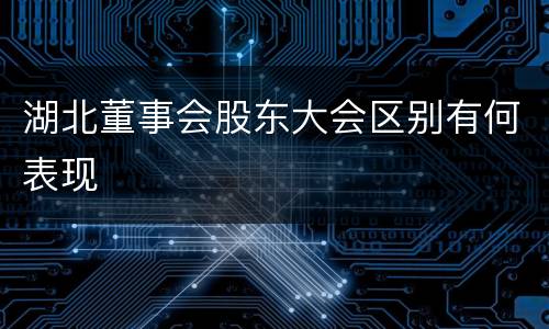 湖北董事会股东大会区别有何表现