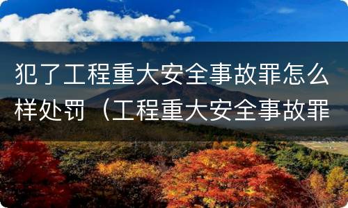 犯了工程重大安全事故罪怎么样处罚（工程重大安全事故罪和重大安全事故）