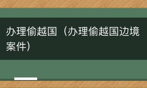 办理偷越国（办理偷越国边境案件）