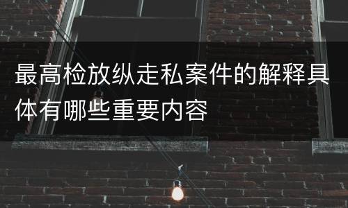 最高检放纵走私案件的解释具体有哪些重要内容