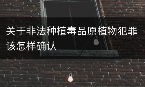 关于非法种植毒品原植物犯罪该怎样确认
