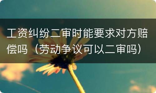 工资纠纷二审时能要求对方赔偿吗（劳动争议可以二审吗）