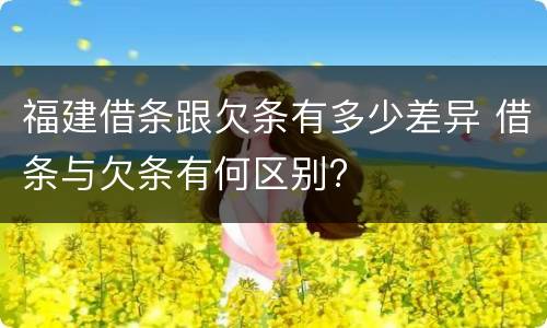 福建借条跟欠条有多少差异 借条与欠条有何区别?
