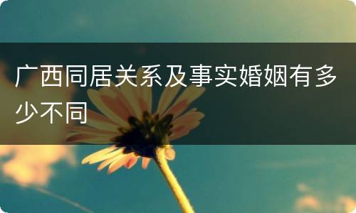 广西同居关系及事实婚姻有多少不同