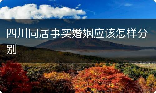 四川同居事实婚姻应该怎样分别