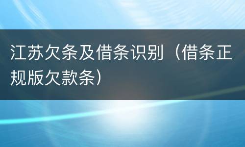 江苏欠条及借条识别（借条正规版欠款条）