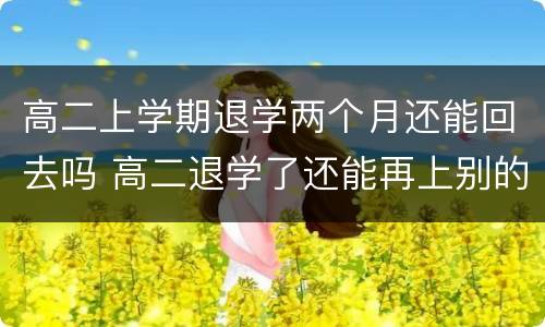 高二上学期退学两个月还能回去吗 高二退学了还能再上别的学校吗