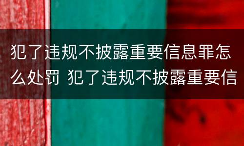 犯了违规不披露重要信息罪怎么处罚 犯了违规不披露重要信息罪怎么处罚的