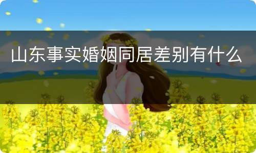 山东事实婚姻同居差别有什么