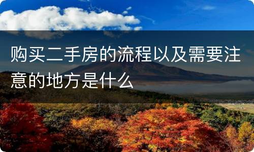购买二手房的流程以及需要注意的地方是什么