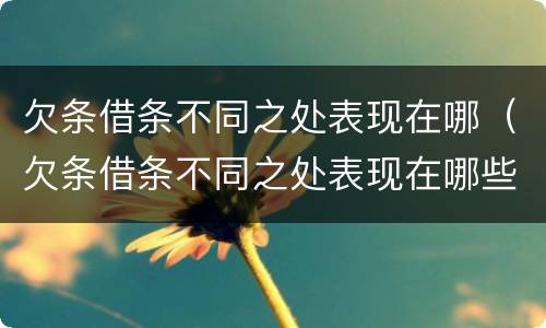 欠条借条不同之处表现在哪（欠条借条不同之处表现在哪些方面）