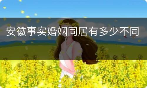 安徽事实婚姻同居有多少不同