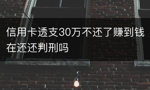 信用卡透支30万不还了赚到钱在还还判刑吗