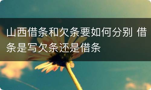 山西借条和欠条要如何分别 借条是写欠条还是借条