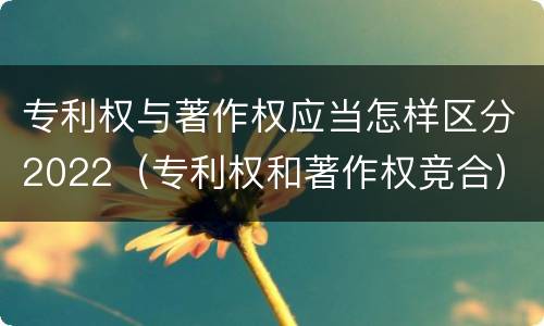 专利权与著作权应当怎样区分2022（专利权和著作权竞合）