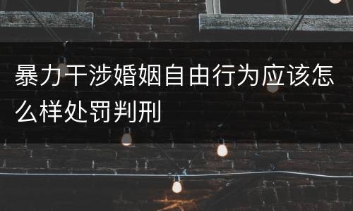 暴力干涉婚姻自由行为应该怎么样处罚判刑