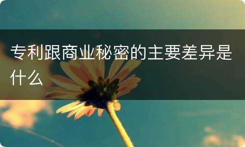 专利跟商业秘密的主要差异是什么