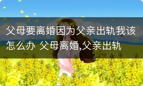 父母要离婚因为父亲出轨我该怎么办 父母离婚,父亲出轨