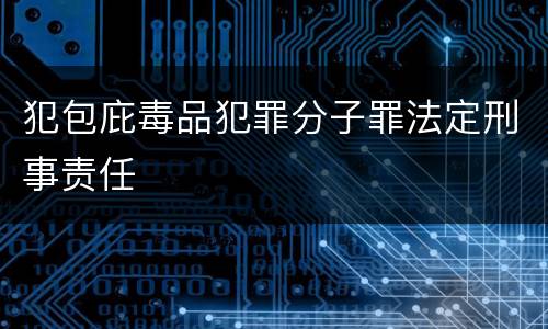 犯包庇毒品犯罪分子罪法定刑事责任