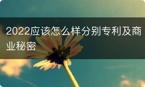 2022应该怎么样分别专利及商业秘密