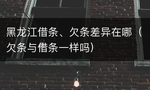 黑龙江借条、欠条差异在哪（欠条与借条一样吗）