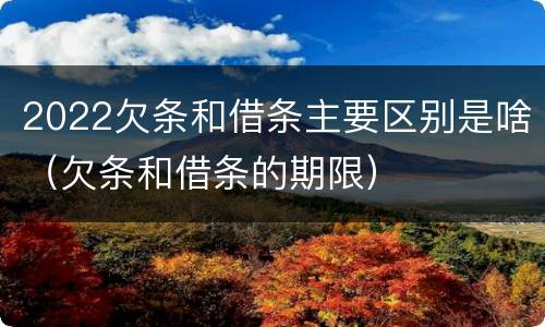 2022欠条和借条主要区别是啥（欠条和借条的期限）