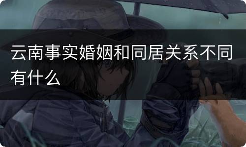 云南事实婚姻和同居关系不同有什么