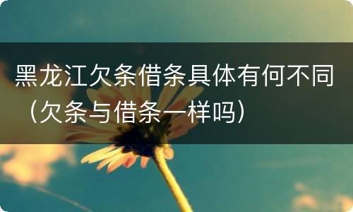 黑龙江欠条借条具体有何不同（欠条与借条一样吗）