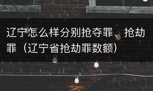 辽宁怎么样分别抢夺罪、抢劫罪（辽宁省抢劫罪数额）