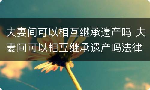 夫妻间可以相互继承遗产吗 夫妻间可以相互继承遗产吗法律规定