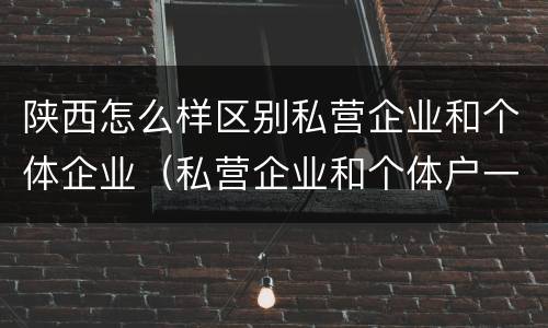 陕西怎么样区别私营企业和个体企业（私营企业和个体户一样吗）