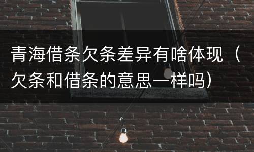 青海借条欠条差异有啥体现（欠条和借条的意思一样吗）