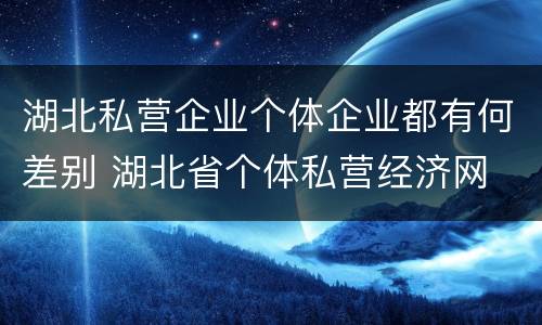 湖北私营企业个体企业都有何差别 湖北省个体私营经济网