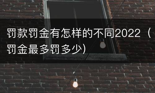 罚款罚金有怎样的不同2022（罚金最多罚多少）